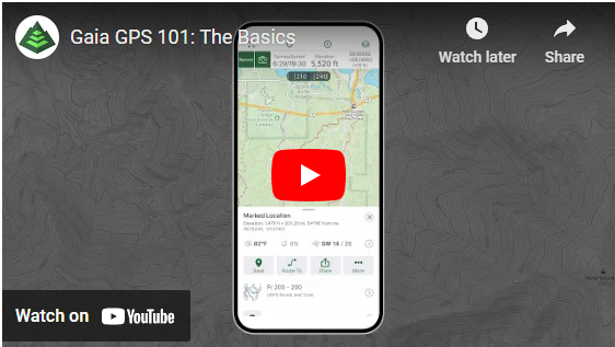 Screenshot 2023-08-04 103722